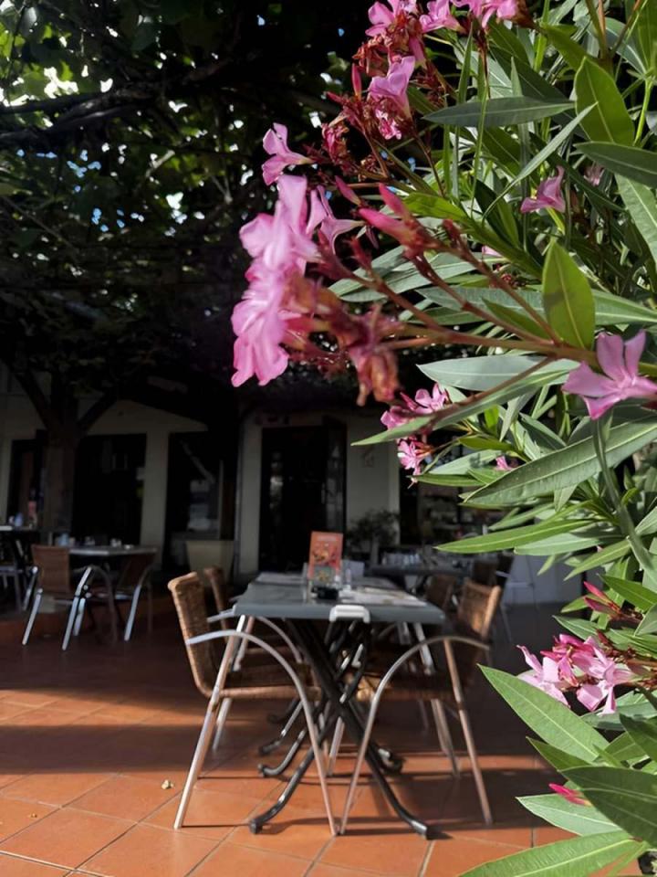 Etablissement avec terrasse Lautrec